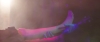 Love_You_To_Pieces_-_02389.jpg