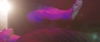 Love_You_To_Pieces_-_02707.jpg