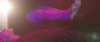 Love_You_To_Pieces_-_02708.jpg