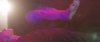 Love_You_To_Pieces_-_02709.jpg