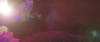 Love_You_To_Pieces_-_02739.jpg