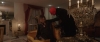 Love_You_To_Pieces_-_03054.jpg