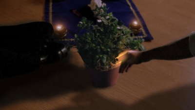 CH107_1629.jpg