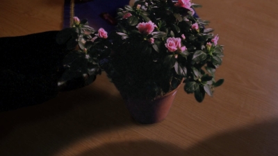 CH107_1637.jpg
