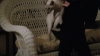 CH107_1485.jpg
