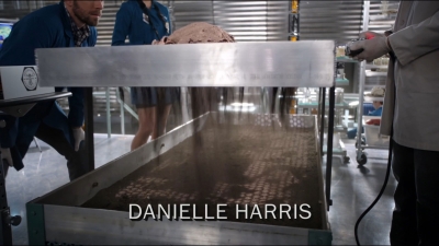 bones8x21_0335.jpg