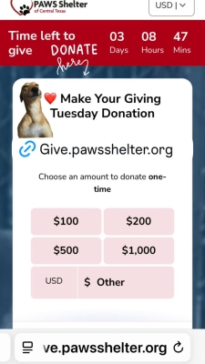 Click to view full size image
==============
Social_2025_282829.jpg Social_2025_282829.jpg