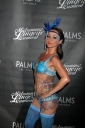 Midsummer_Lingerie_Carnival2013_289229.jpg